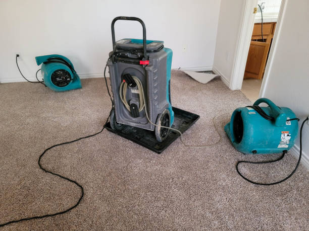 Best Water damage restoration company  in Shelby, NC