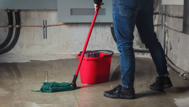 Best Water damage repair service  in Shelby, NC