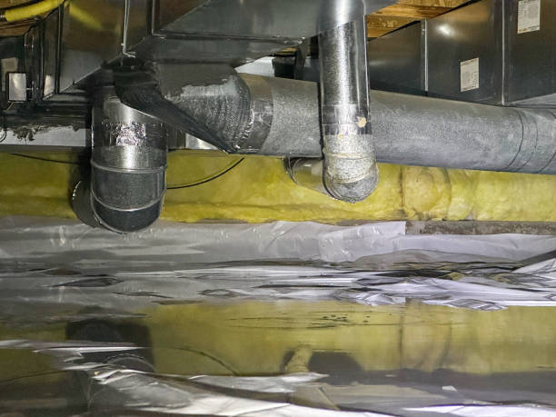 Best Water damage restoration near me  in Shelby, NC