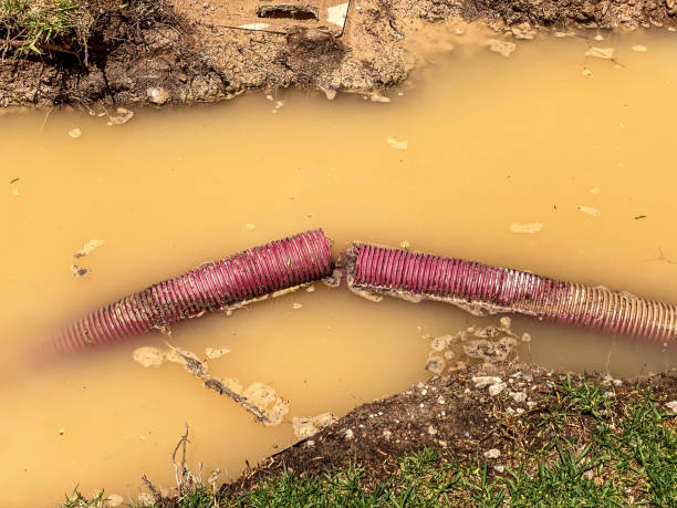 Best Emergency water damage restoration  in Shelby, NC