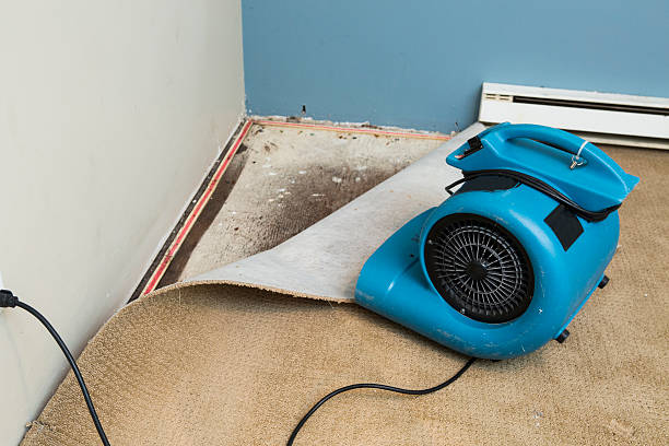 Best Water damage contractors near me  in Shelby, NC